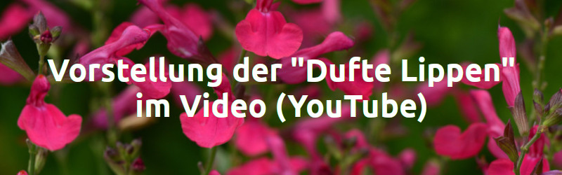 Vorstellung der Dufte Lippen im Video